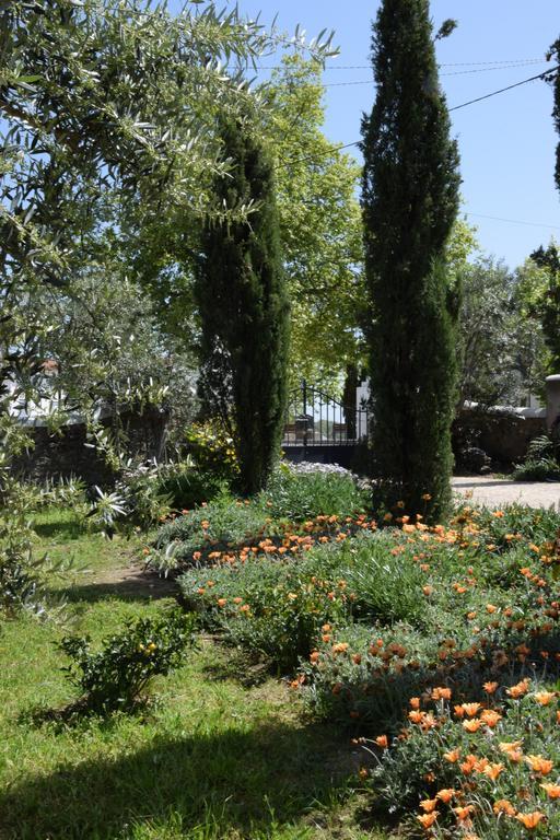 منزل الضيف كاستيلو دي فيدي  في Casa Da Paleta المظهر الخارجي الصورة