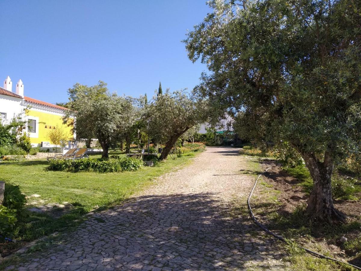 منزل الضيف كاستيلو دي فيدي  في Casa Da Paleta المظهر الخارجي الصورة