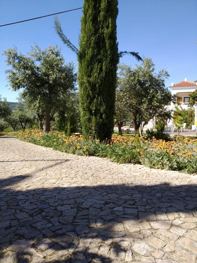 منزل الضيف كاستيلو دي فيدي  في Casa Da Paleta المظهر الخارجي الصورة
