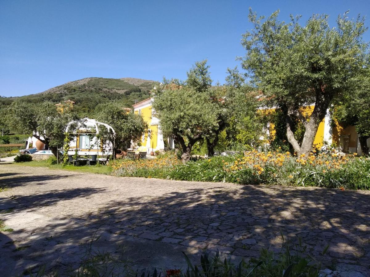 منزل الضيف كاستيلو دي فيدي  في Casa Da Paleta المظهر الخارجي الصورة